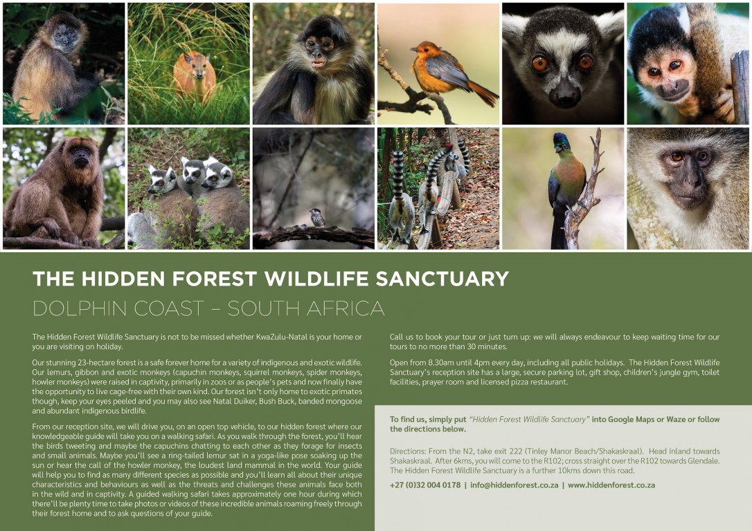 Receive a Monkeyland Primate Sanctuary E-Brochure with rates and more