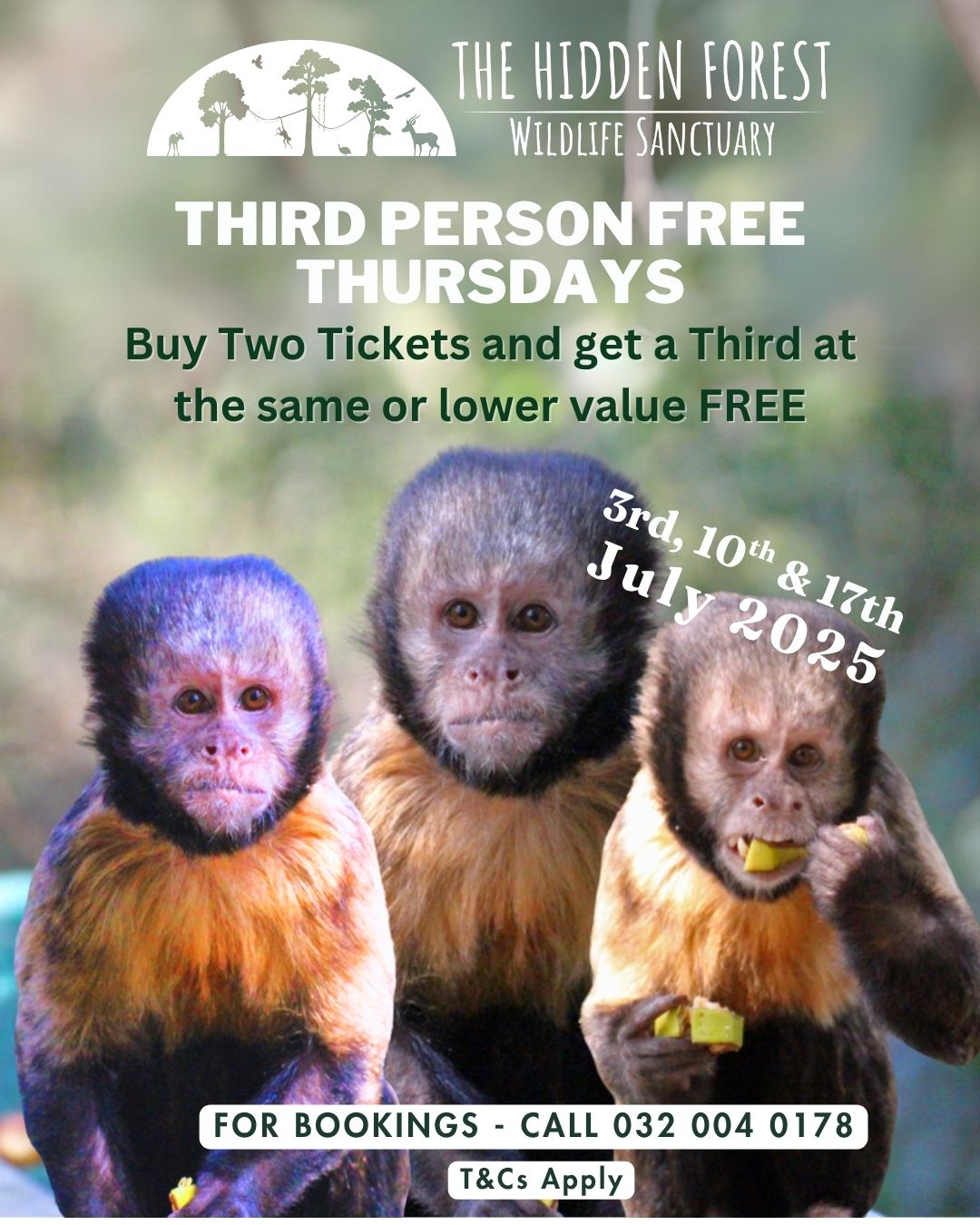Third Person Free Thursdays June-July 2025
