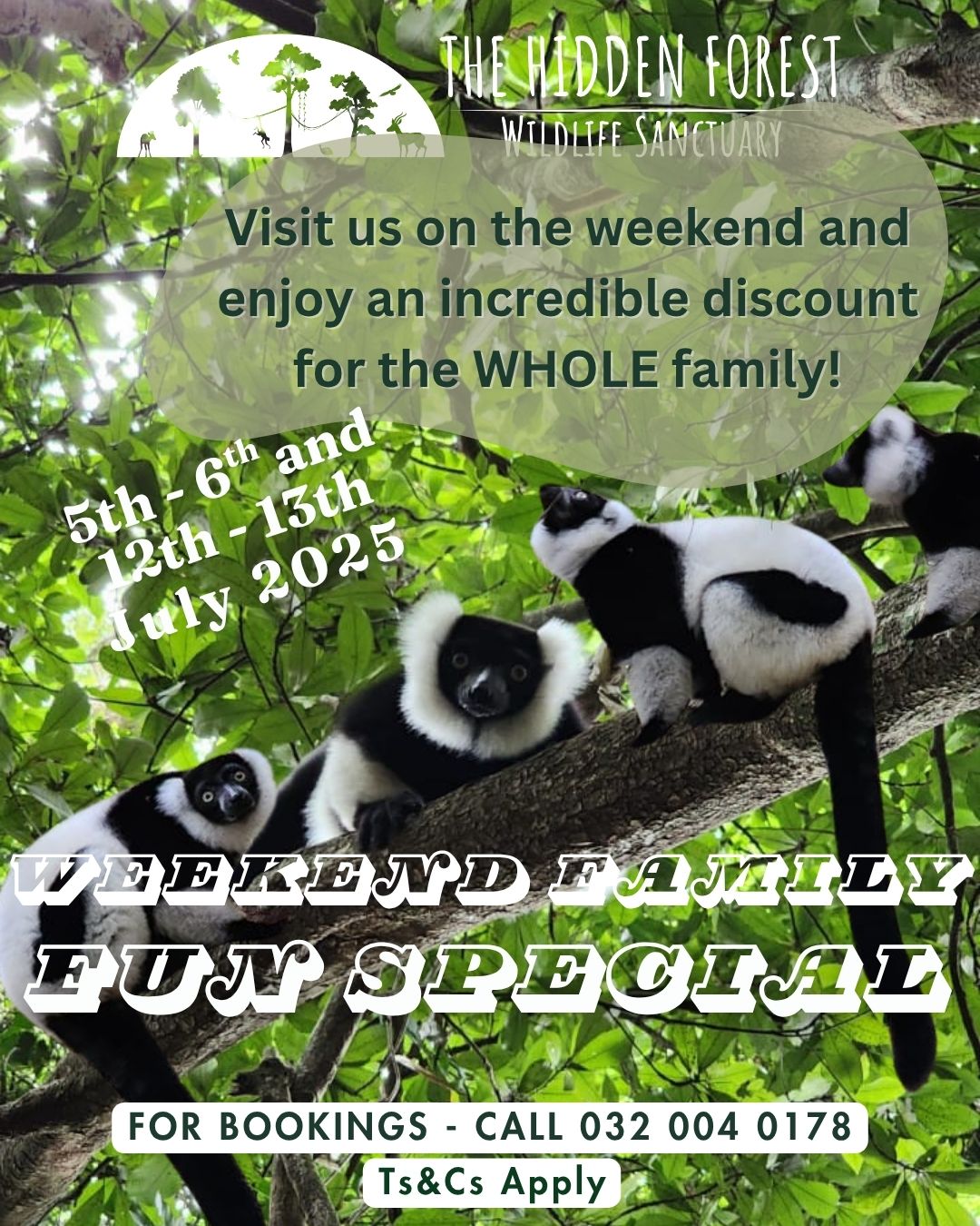 Weekend Family Fun Special June-July 2025