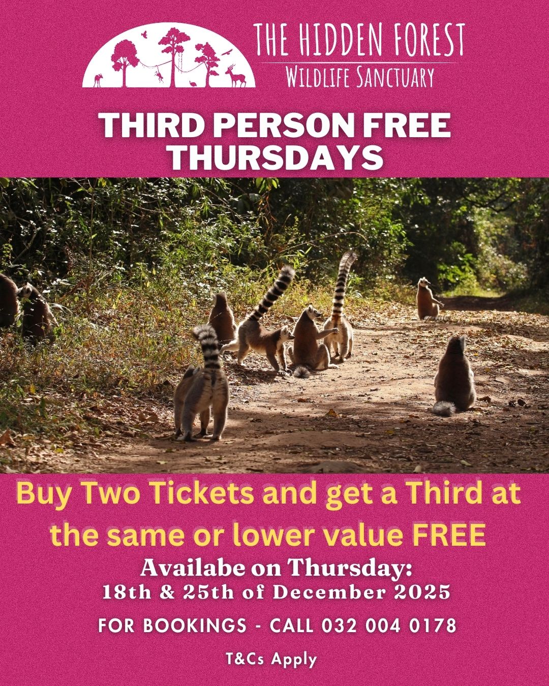 Third Person Free Thursdays Dec 2025