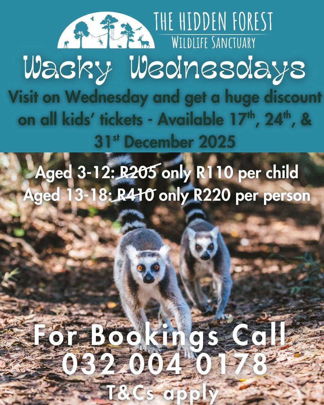 Wacky Wednesdays Dec 2025