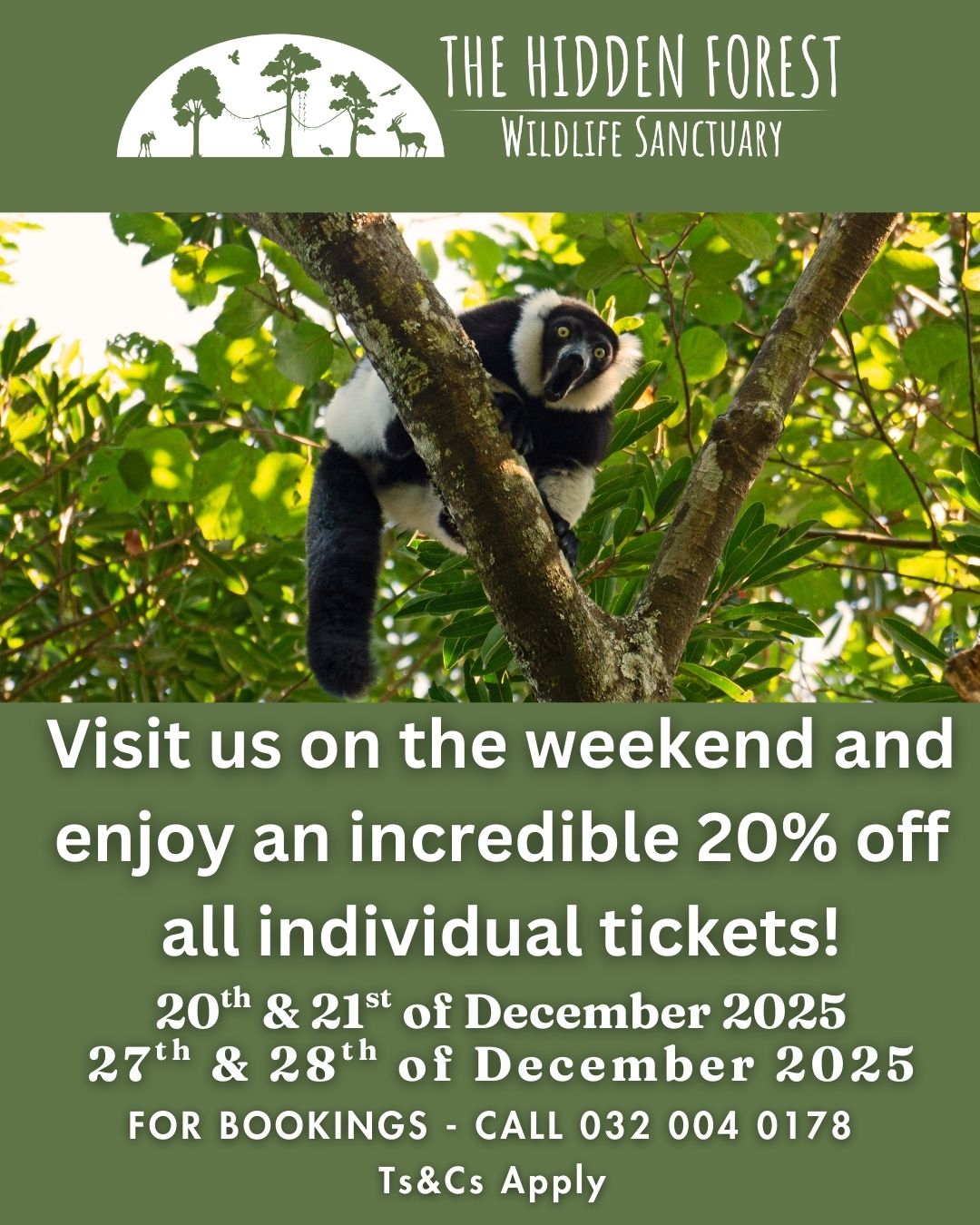 Weekend Special Dec 2025