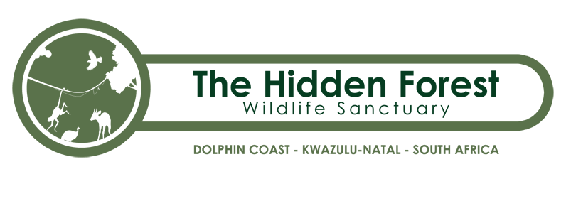 The Hidden Forest Wildlife Sanctuary Kwa-Zulu Natal